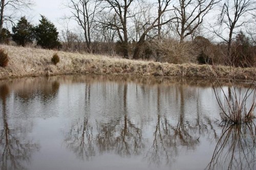 Property photo 2 - ABSOLUTE AUCTION - 298 Acres Offered in 4 Tracts